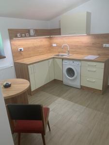 eine Küche mit Spüle und Waschmaschine in der Unterkunft Stonava-Mexiko, industry&pohoda-klid in Karviná