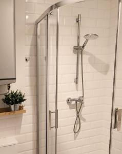 a shower with a glass shower head in a bathroom at Melodia Ciszy Apartament Dębina in Debina