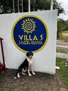 Domácí mazlíčci ubytovaní s hosty v ubytování Villas Jacquelina