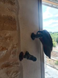 a door knob on a window with a bird on it at Logement pleine nature in Saint-Bris-le-Vineux
