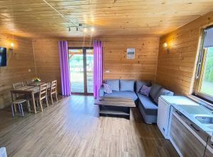 a living room with a couch and a table at Domki Apartamenty Ewelka in Okuninka