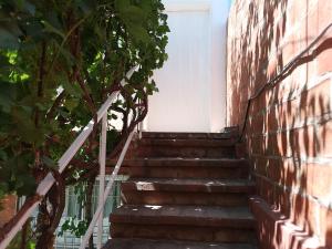 Billede fra billedgalleriet på solymar i Puerto Madryn + 3 billeder