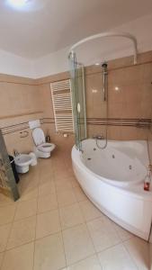 a bathroom with a tub and a toilet and a sink at The Happy Goat Apartment in Germignaga +11 photos