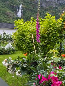 Zahrada ubytování Flåm Tinyhouse with a Waterfall View