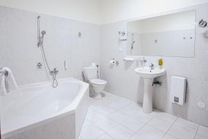 Vannituba majutusasutuses Hotel Šipka