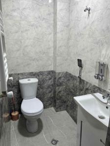 a bathroom with a white toilet and a sink at OR-Ni in Borjomi