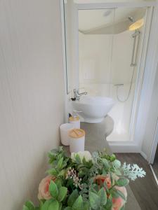 Bilik mandi di Fabulous 3 Bedroom Static Caravan at Billing Aquadrome