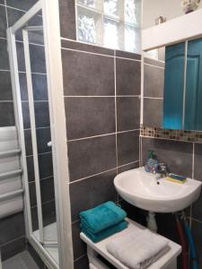 a small bathroom with a sink and a shower at Appartement Cosy à Nemours Hameau Chaintreauville in Saint-Pierre-lès-Nemours +9 photos
