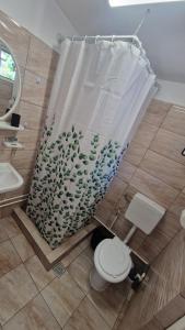 a bathroom with a toilet and a shower curtain at Casa AVA 2 Mai in 2 Mai