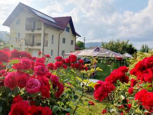 Φωτογραφία από το άλμπουμ του Vila Norina σε Oeşti-Pămînteni