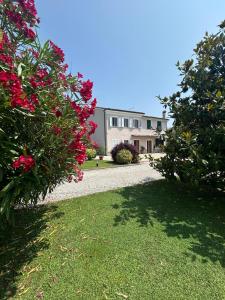 a house with pink flowers and a gravel driveway at Rustico del Chiasso - Villa With Private pool near Lucca in Lucca +34 photos