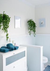 Φωτογραφία από το άλμπουμ του Scenic Mountain retreat - Country side - 1 Acre σε Blacksburg