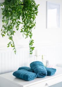 Φωτογραφία από το άλμπουμ του Scenic Mountain retreat - Country side - 1 Acre σε Blacksburg +33 φωτογραφίες