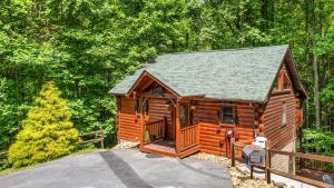 Forest Creek Retreat By Avada Properties في سيفيرفيل: كابينة في وسط الغابة