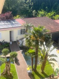 una vista aérea de una casa con palmeras en Casa do Lago Piscina aquecida, Quartos, en Espinho