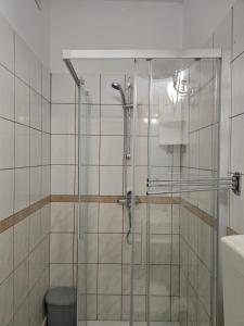 Koupelna v ubytování Apartment Knežević 2