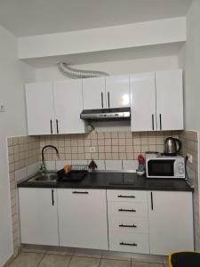 Kuchyň nebo kuchyňský kout v ubytování Apartment Knežević 2