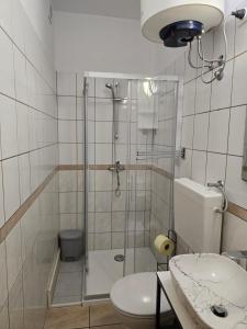 Koupelna v ubytování Apartment Knežević 2
