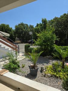 Zahrada ubytování Apartment Knežević 2