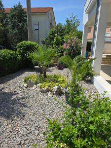 Zahrada ubytování Apartment Knežević 2