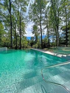 a large pool of water with trees in the background at Acogedor departamento de lujo in Pucón