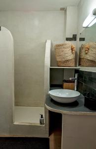 a bathroom with a sink and a shower at Appartement dans le centre médiéval in Hyères
