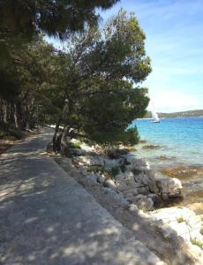 Φυσικό τοπίο κοντά σε αυτό το διαμέρισμα
