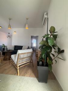 a living room with a couch and a potted plant at Villa Regina Apartment Carlito with swimming pool in Jezera