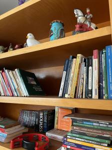 a book shelf filled with lots of books at Kasa Kaya in Araraquara +35 photos