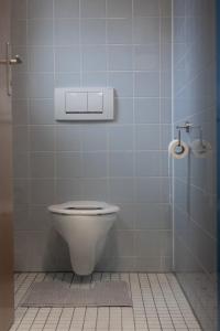 a bathroom with a toilet and a shower at Zentrale Ferienwohnung mit kostenlosen Parkplätzen in Leoben +7 photos