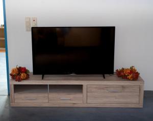 a flat screen tv sitting on top of a wooden entertainment center at Zentrale Ferienwohnung mit kostenlosen Parkplätzen in Leoben