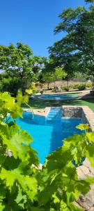 Casa Rural Amarilla في أفيلا: تجمع الماء الأزرق مع الأشجار في الخلفية