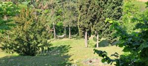 Ein Garten an der Unterkunft Felicita
