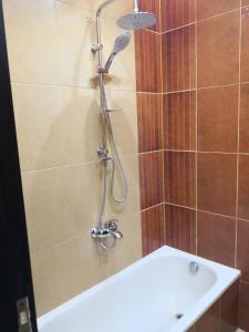 a bathroom with a shower with a tub and a sink at Alhejaz Luxurious Apartment in Cairo +18 photos
