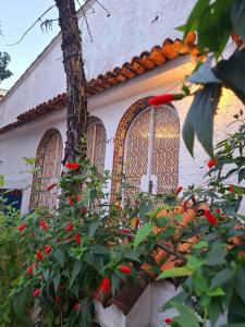 a house with two windows and a bush with red flowers at Casa Por do Sol in Rio de Janeiro