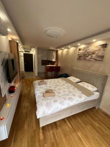 a bedroom with a bed with a cat laying on it at Elita SPA in Doboj