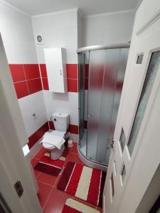 a red and white bathroom with a toilet and a shower at Perla Bocșei - Apartament Etaj 4 in Bocşa +33 photos