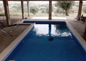 a swimming pool with blue water in a house at Retiro da cegonha in Crato