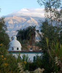 a white building with palm trees and mountains in the background at Las Palmeras Inn in Otavalo