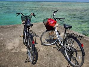 two bikes parked on a pier near the water at Komorebi - Vacation STAY 19098 in Kuroshima