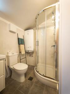 a bathroom with a toilet and a shower at Apartma Flora - Apartment Flora in Koper