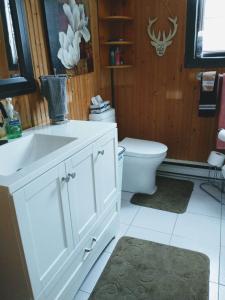ein Badezimmer mit einem weißen Waschbecken und einer Toilette in der Unterkunft Chalet Autrichien de la Cornière in Lac-Beauport + 20 Fotos