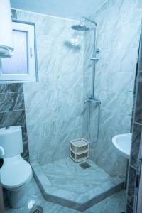 a bathroom with a shower and a toilet and a sink at Ajka apartments in Ulcinj