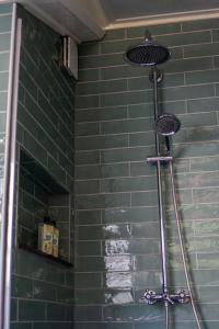 a shower in a green tiled bathroom at Bed, Boom en Droom in Rolde +18 photos