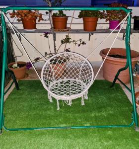 A garden outside Casa Flores