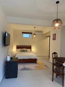 a bedroom with a bed and a tv and a table at L'Éveil du Lotus in Grand-Baie
