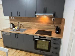 Kuchyň nebo kuchyňský kout v ubytování Apartmány Kanteho grunt