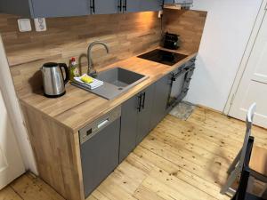 Kuchyň nebo kuchyňský kout v ubytování Apartmány Kanteho grunt