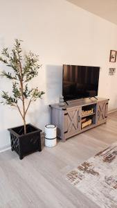 a living room with a tv and a potted tree at Grand Manor - Big 2 Bedroom - USA Side in Niagara Falls