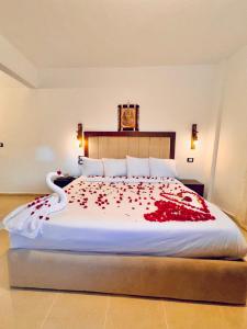 Fotografie z fotogalerie ubytování New Arena pyramids VIEW v destinaci Giza